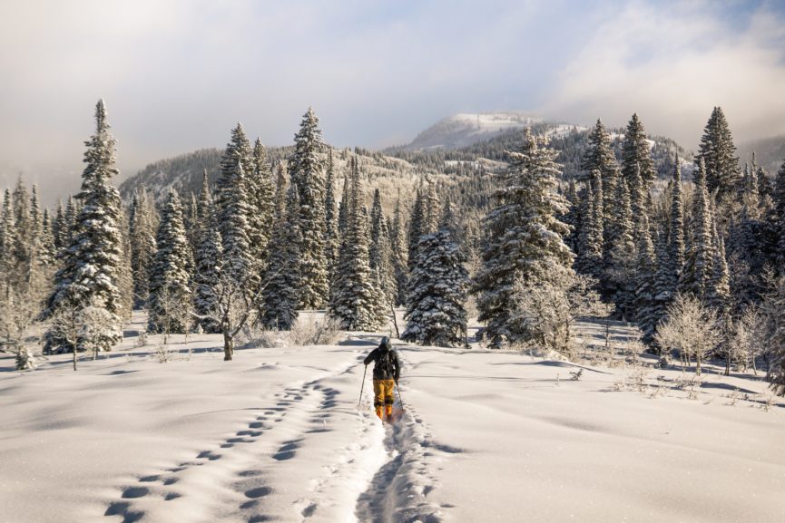 Why Business is Like Cross Country Skiing - Lorraine Moore