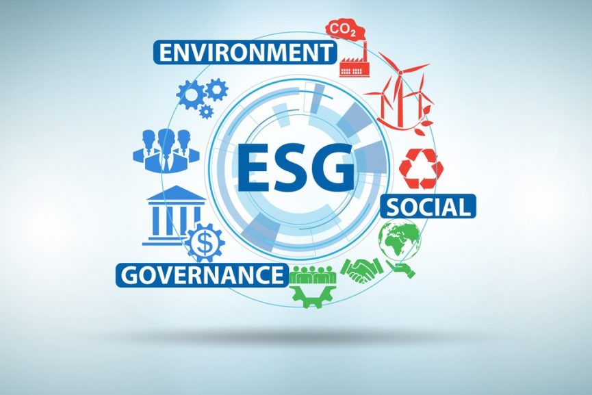 Prioritizing ESG Efforts - Lorraine A Moore